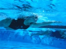 natation_sportive